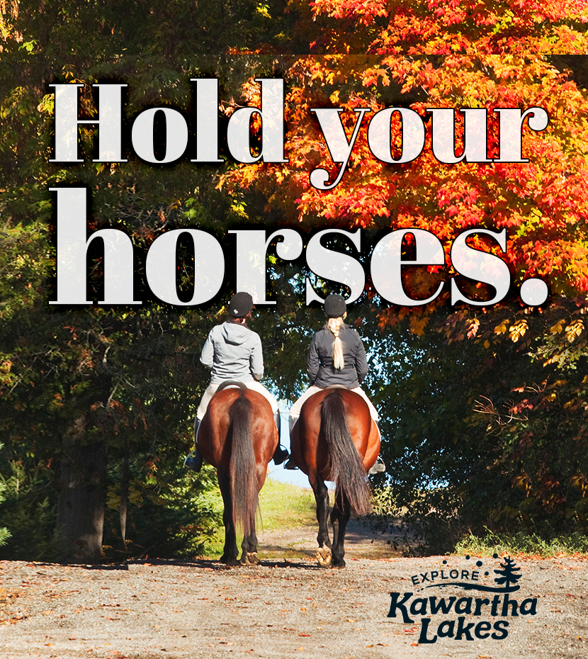 Kawartha Lakes Toursim — Hold Your Horses